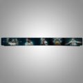 Messi Argentina Weight Lifting Belt